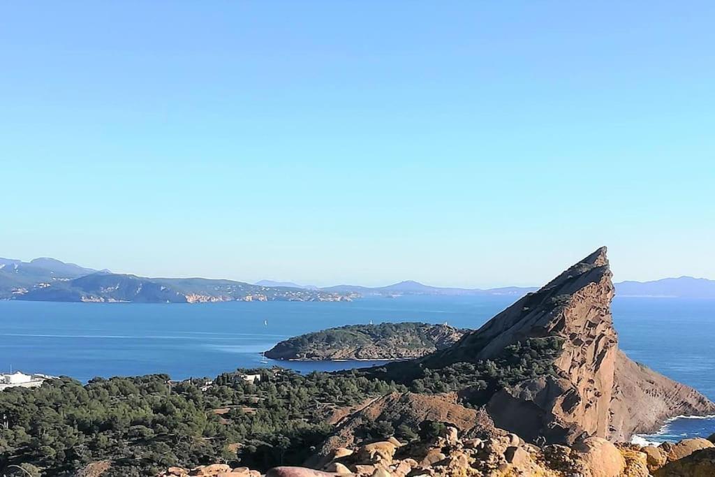 Studio 28M2 Climatise,Wifi, Proche Des Calanques,Plages Ла-Сьота Экстерьер фото